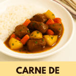 Carne de panela macia com legumes servida em um prato fundo branco, mostrando os cubos de carne, pedaços de batata e cenoura em um molho escuro e espesso, acompanhada de arroz branco.